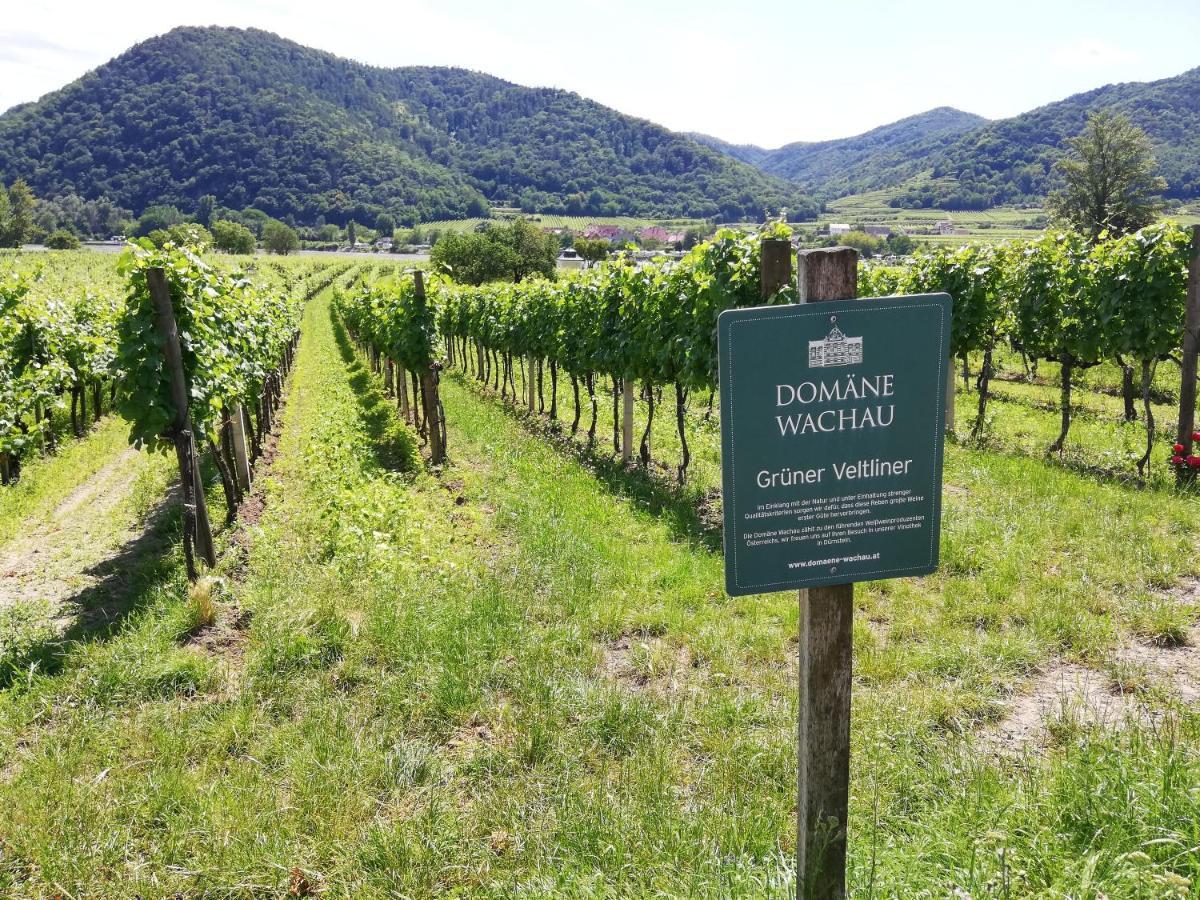 Feriendomizil Wachau Lägenhet Habruck Exteriör bild