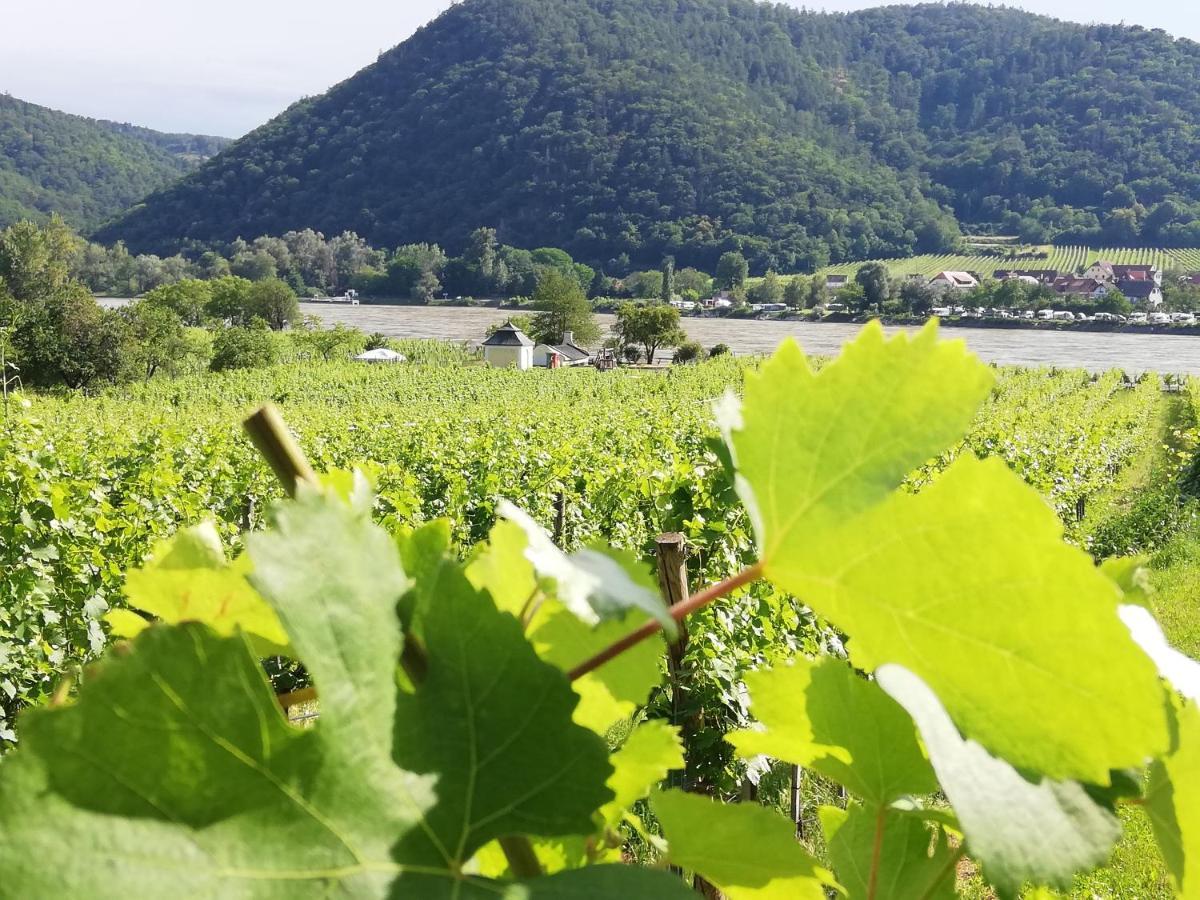 Feriendomizil Wachau Lägenhet Habruck Exteriör bild